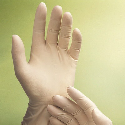 Latex Gloves Dental/ Medical Powder-Free Examination Adenna  SAGLD260